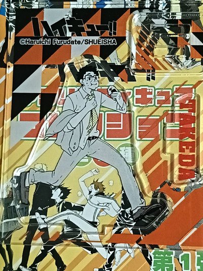 排球少年走立 貓又教練 小武老師 原下 田中