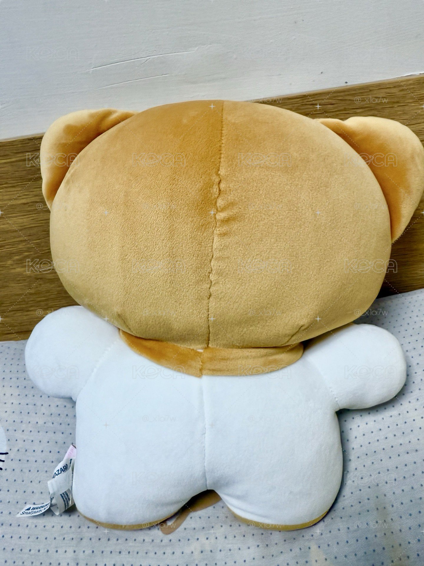 IVE X LINE FRIENDS Liz大娃