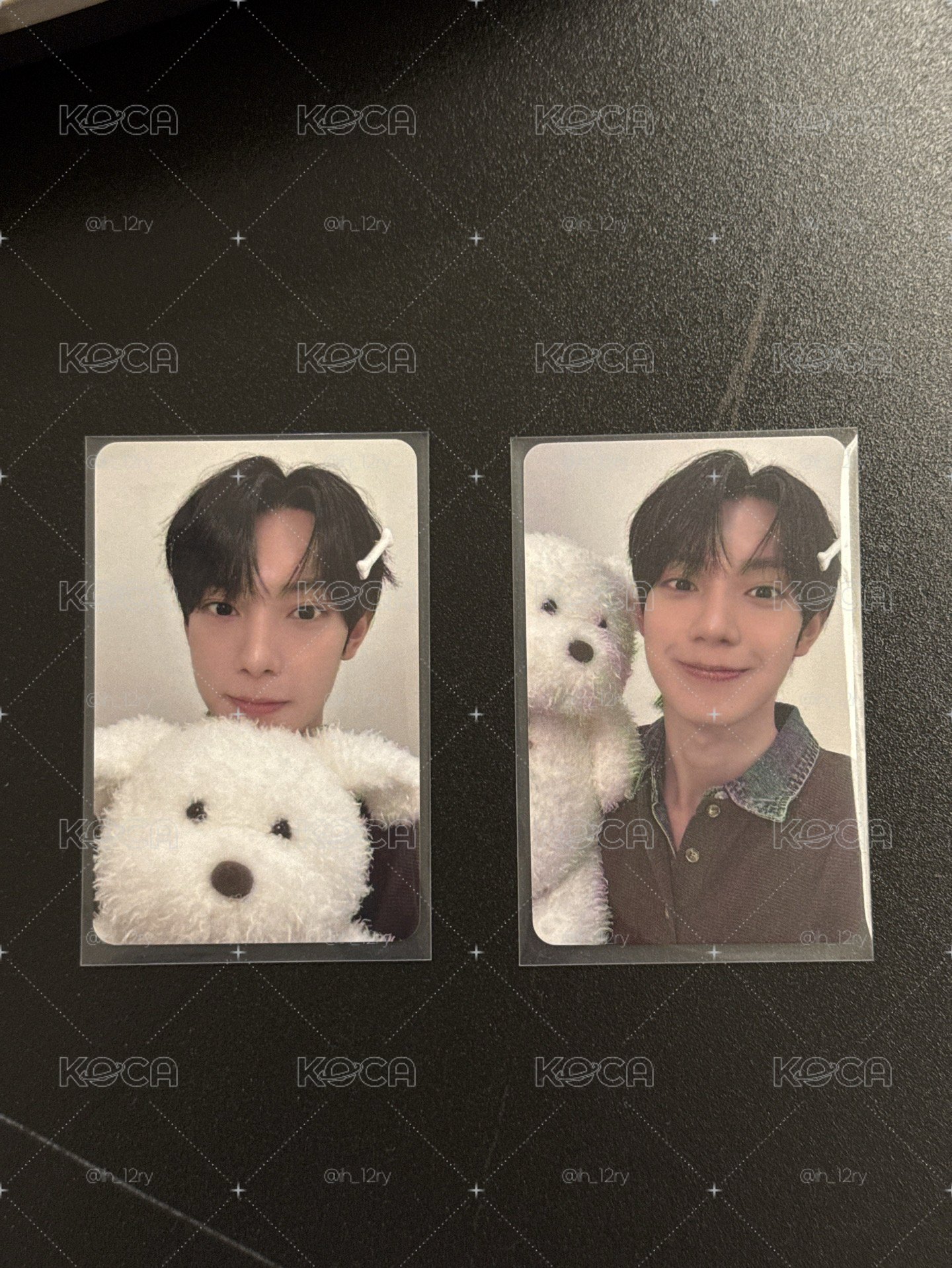 狗狗🐶