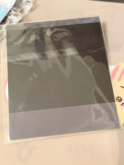 aespa 劉知珉 Karina 2025 台曆 拍立得 柚 小卡