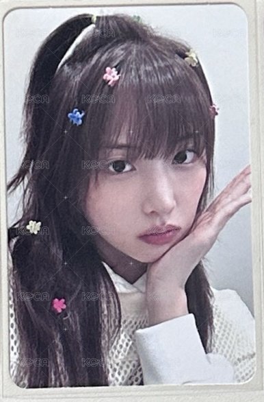 花花髮夾友