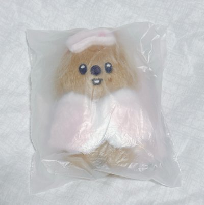 現貨 闊卡眼罩娃