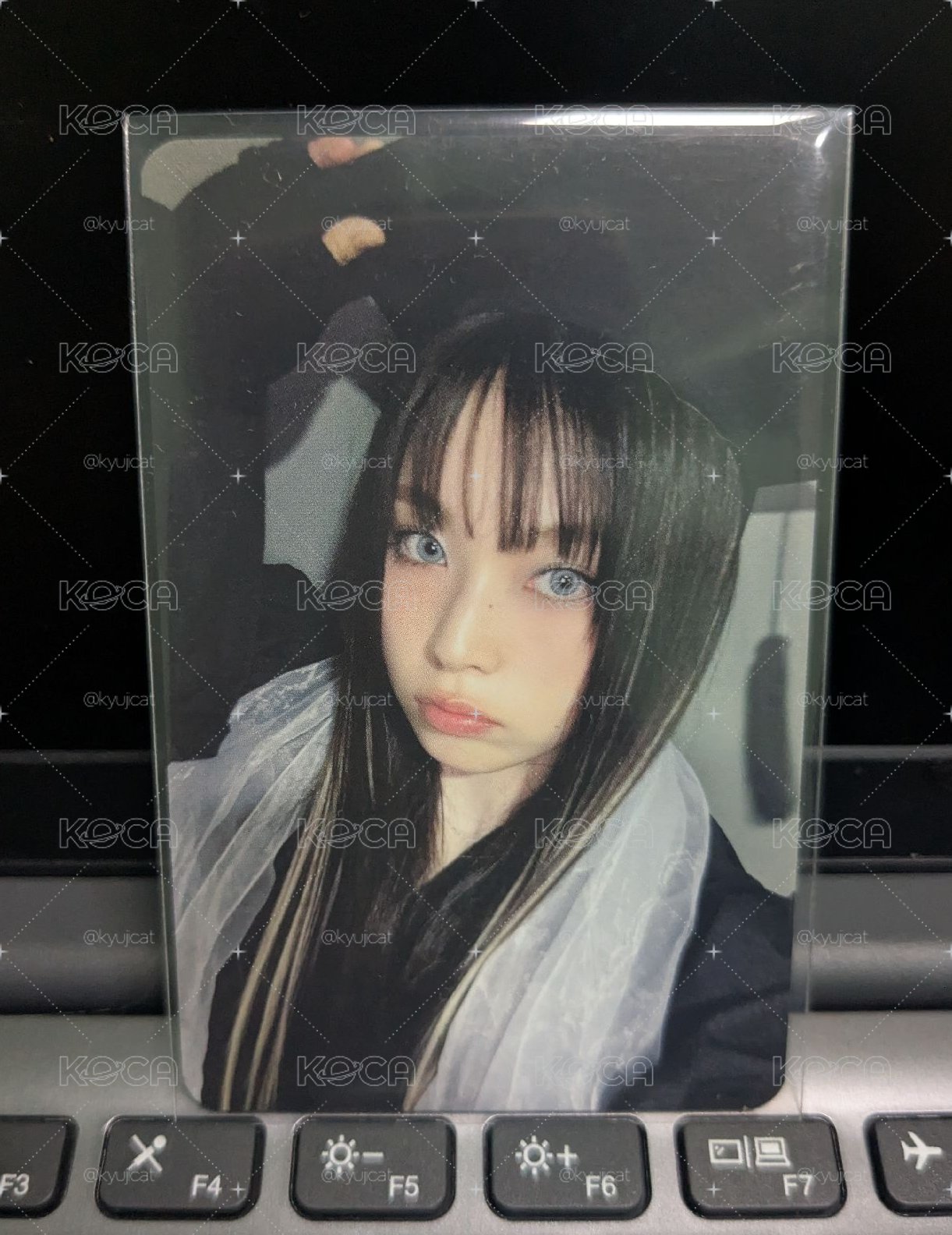 特典🐳