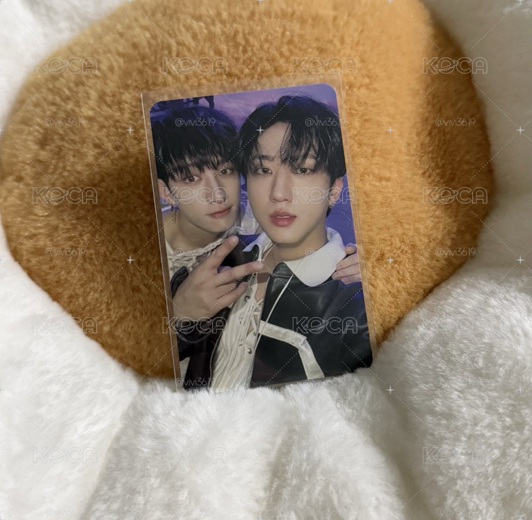 SKZ 樂 專卡 燦彬