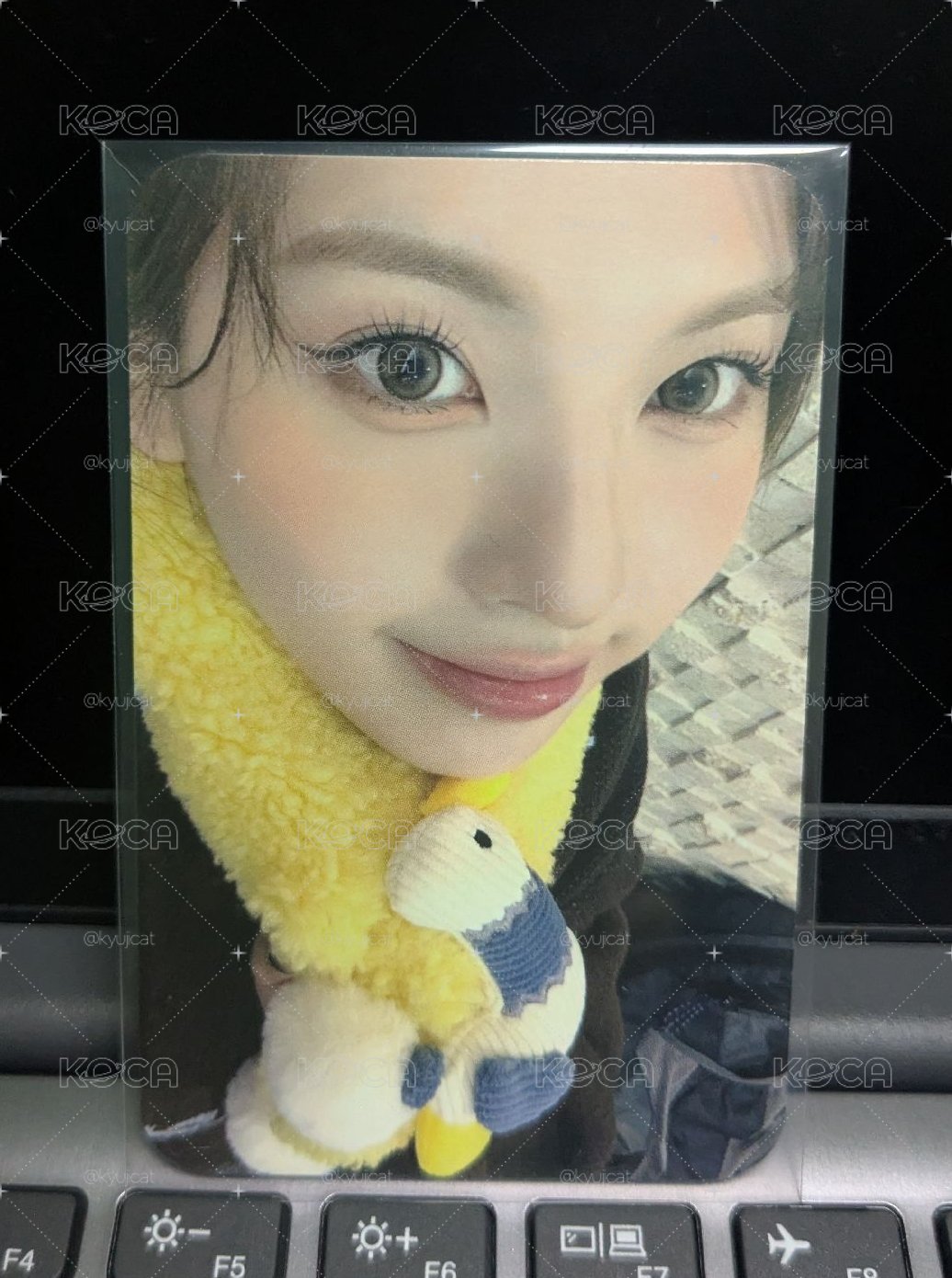特典🐳