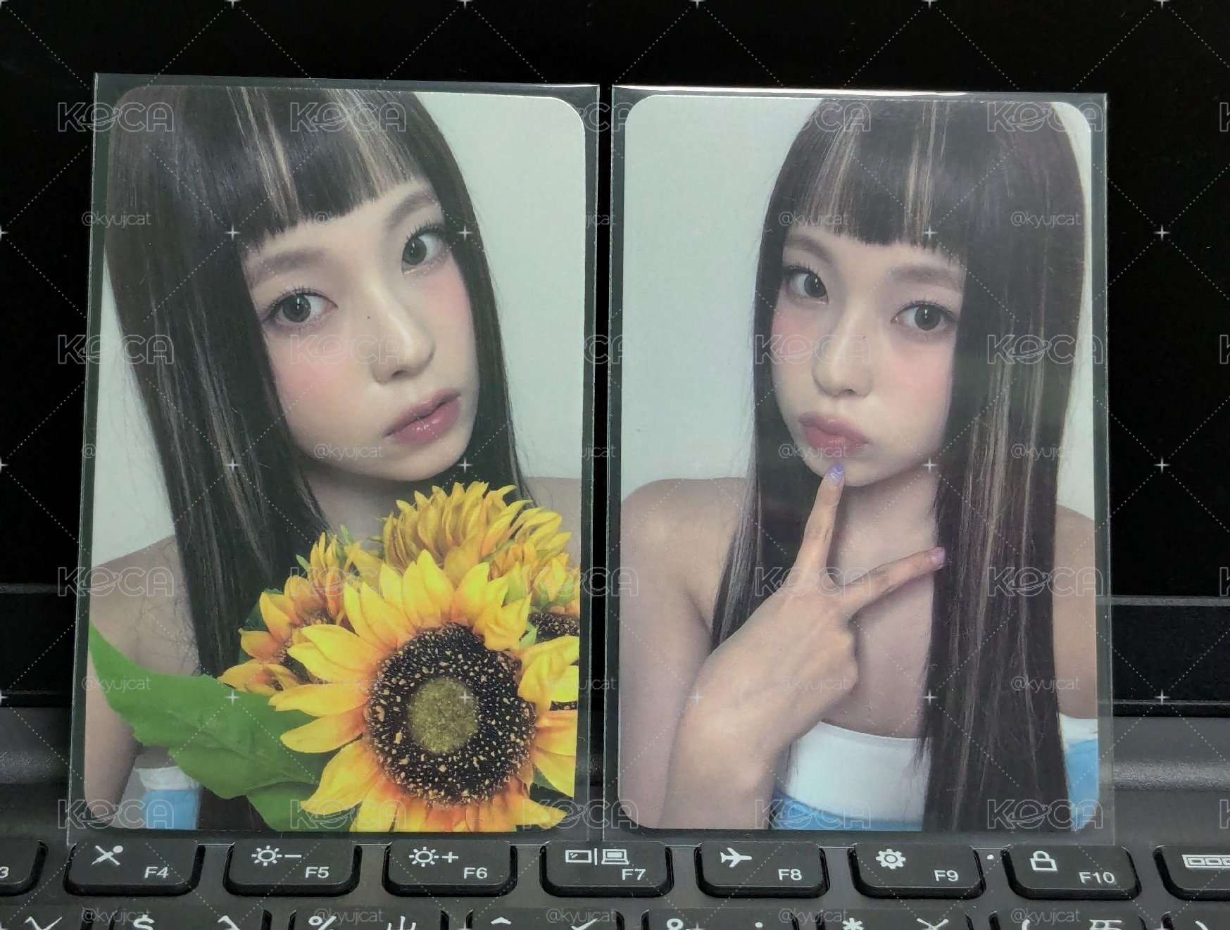 特典🐳排版友好