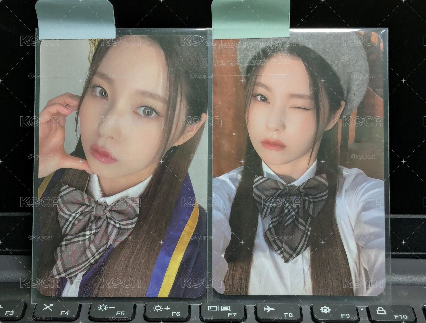 一期會員禮🐳排版友好