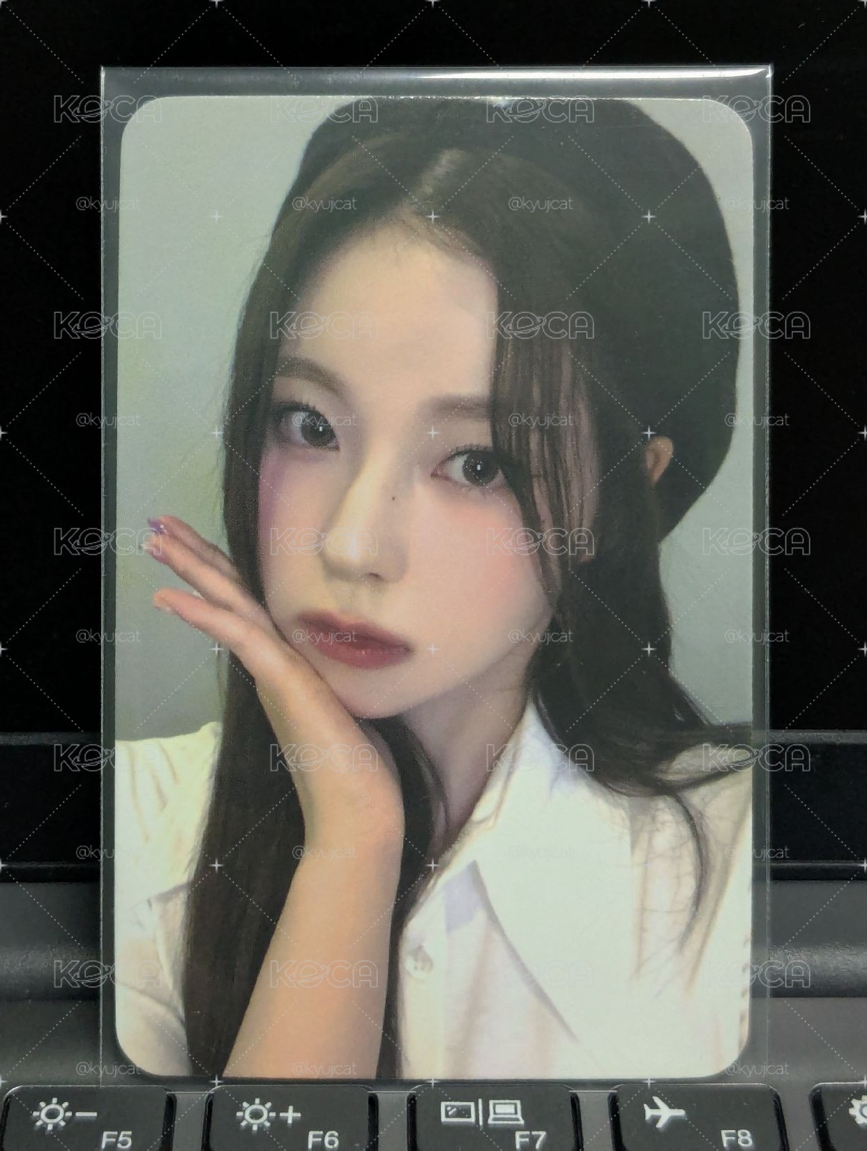 特典🐳