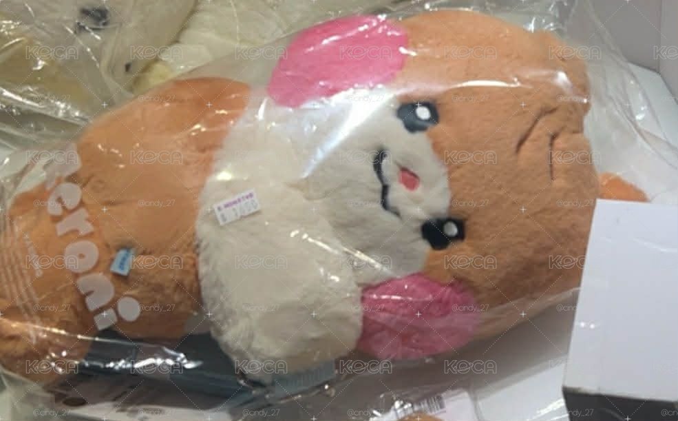 全新未拆背包彬