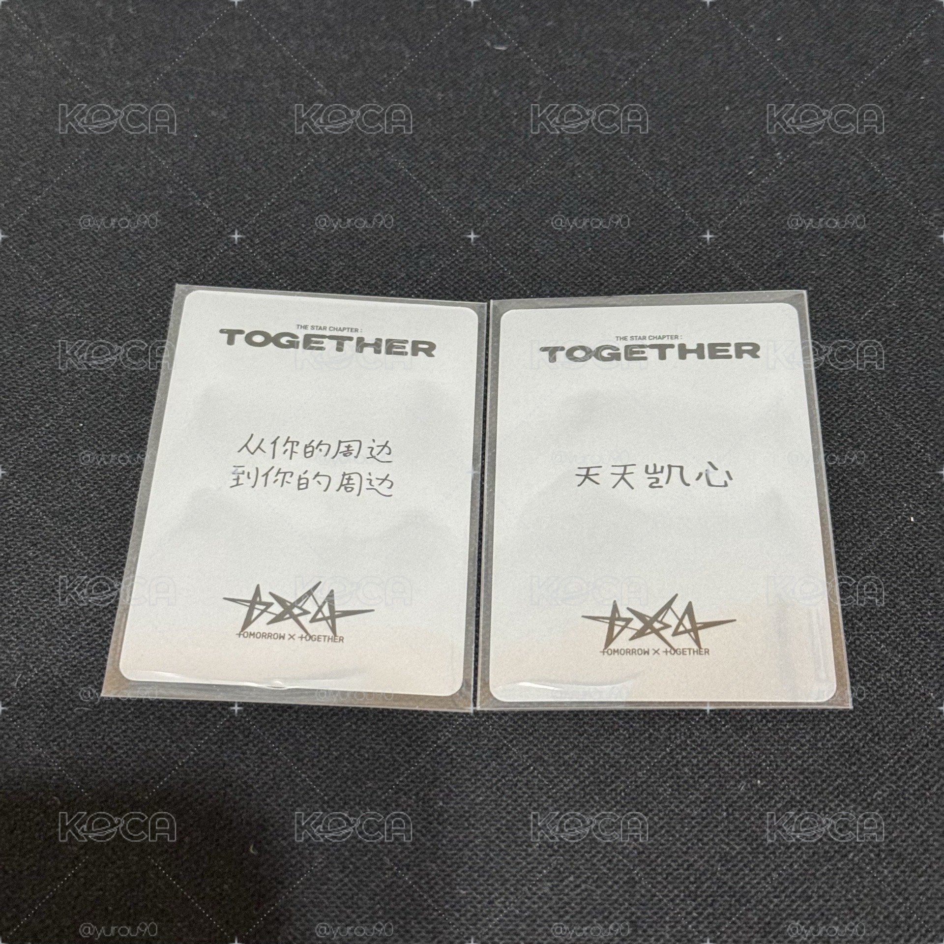 TXT yzy中文卡背小卡