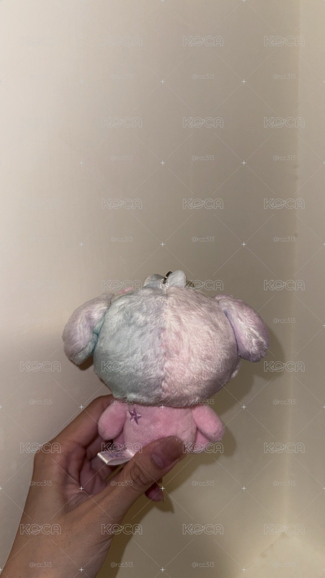 彩嘻