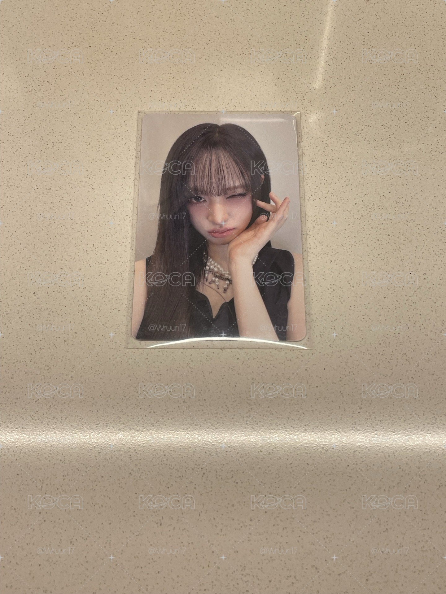 競標-日專栗(0418)