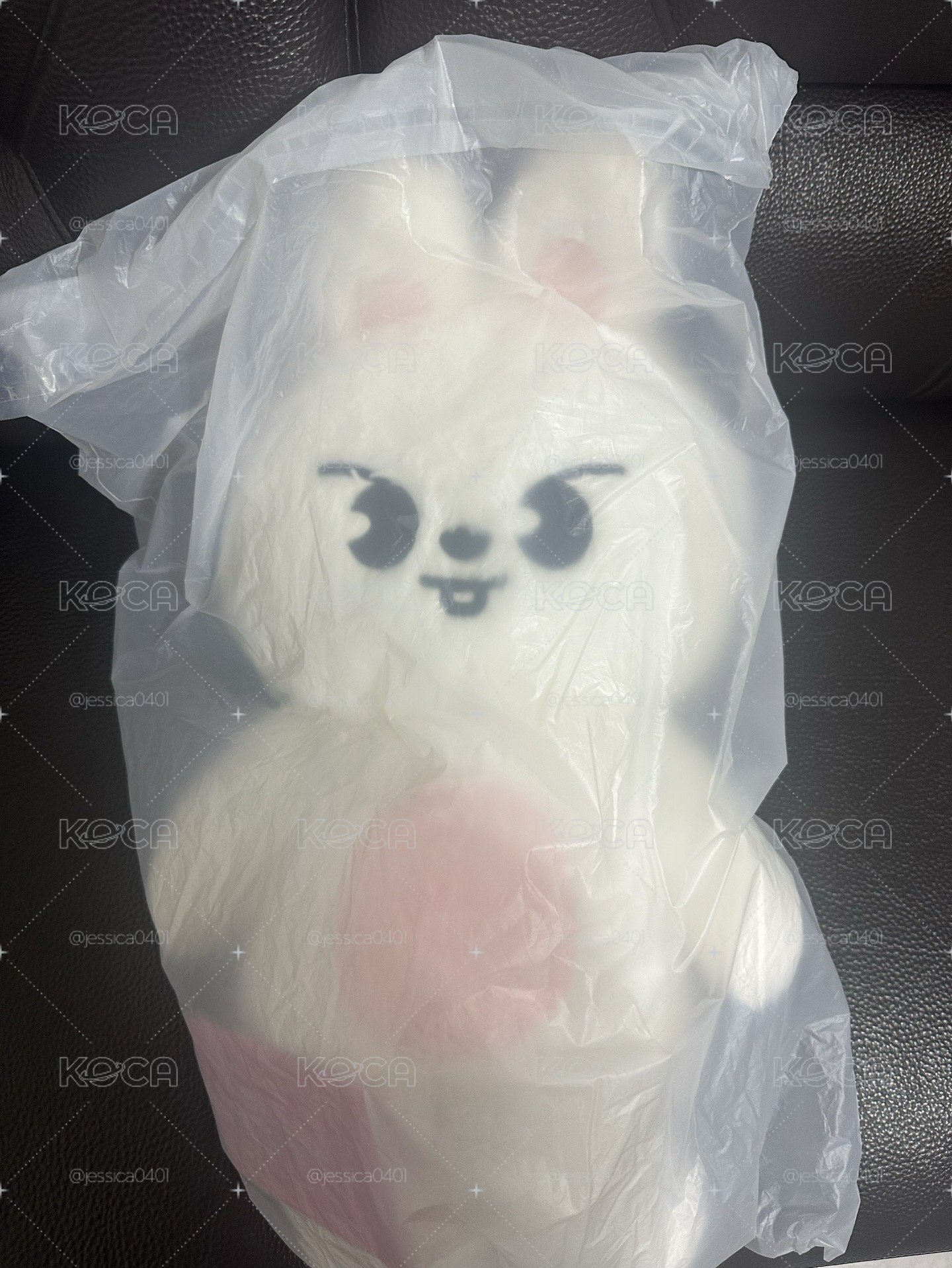 ［全新未拆］李畢60cm泰迪娃