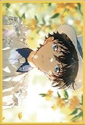 漫研社 晝雨晴空 色紙 