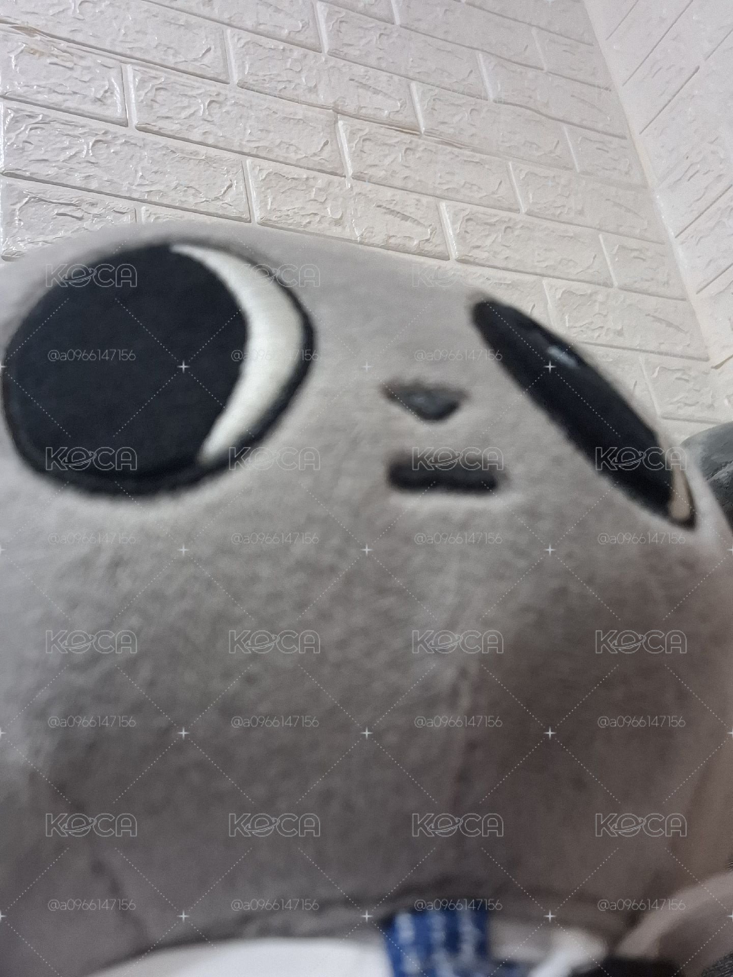 原皮咪