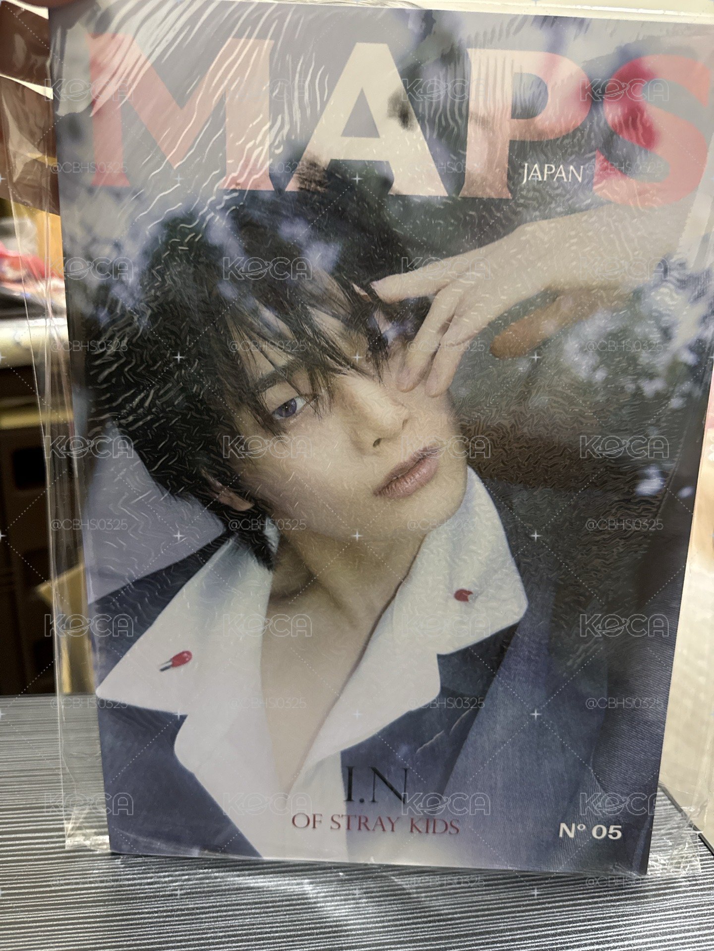 精寅 MAPS JAPAN B版