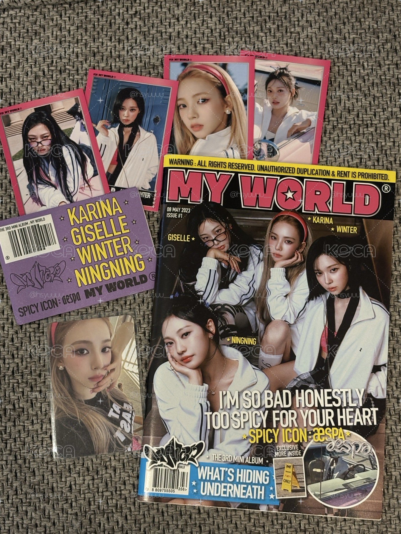 MY WORLD Zine 版+柚專卡