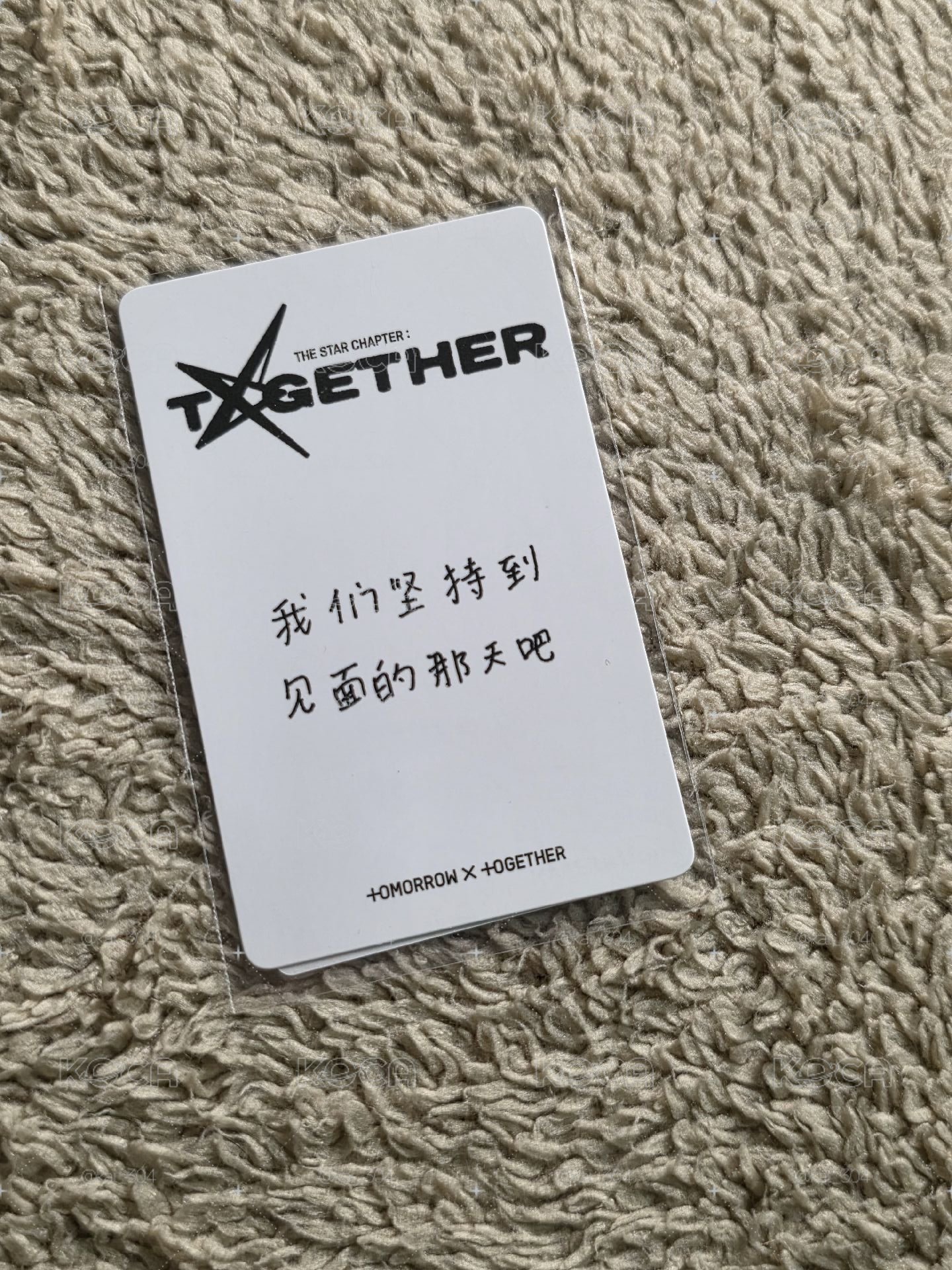 KMS中背 卡背為竣 貓貓茲擔請收