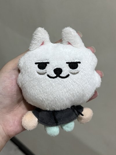 PPULBATU快閃 娃娃玩偶 CHOI YONG MEONG 站娃
