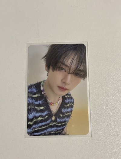 SKZ ATE毛絨專卡
