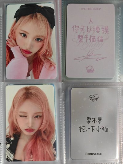 擼貓必備盤ෆ⁠╹⁠ ⁠.̮⁠ ⁠╹⁠ෆ 兩張中背小貓栗卡