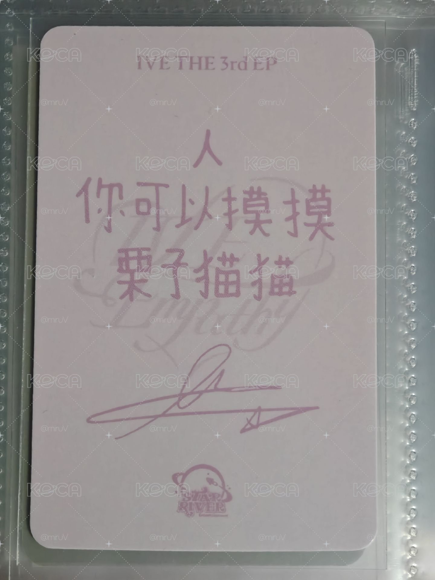 擼貓必備盤ෆ⁠╹⁠ ⁠.̮⁠ ⁠╹⁠ෆ 兩張中背小貓栗卡