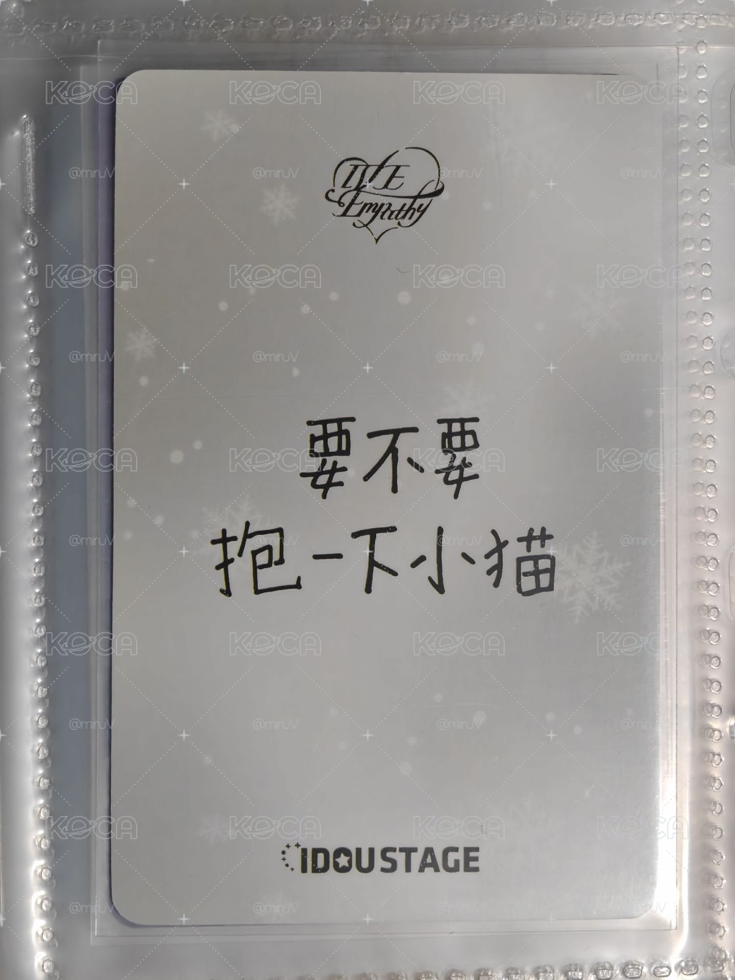擼貓必備盤ෆ⁠╹⁠ ⁠.̮⁠ ⁠╹⁠ෆ 兩張中背小貓栗卡
