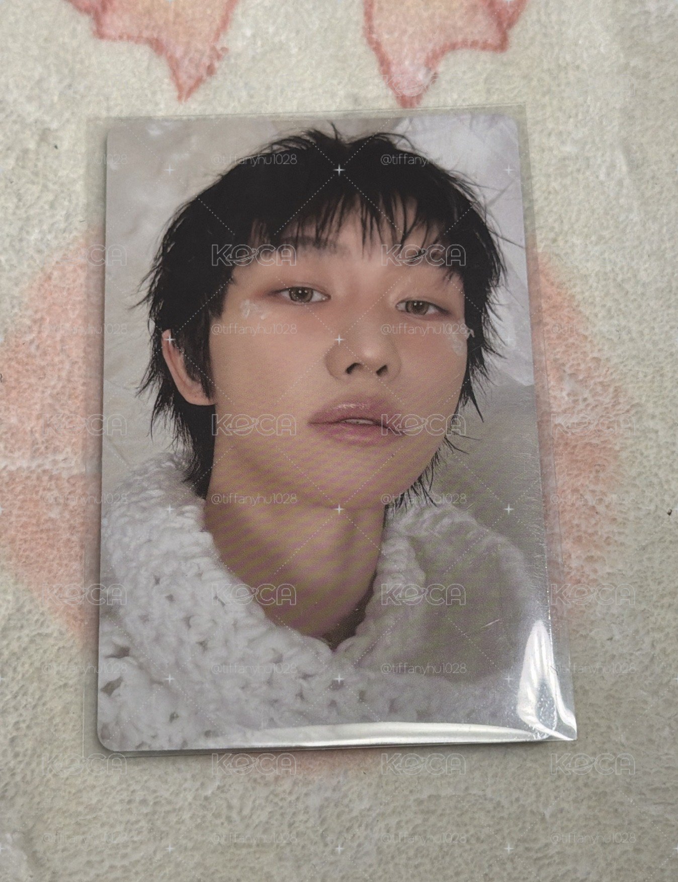 SVT 正5 WVS 八 特典