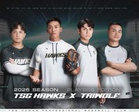 TSG HAWKS X TAIWOLF