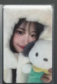 帕恰狗