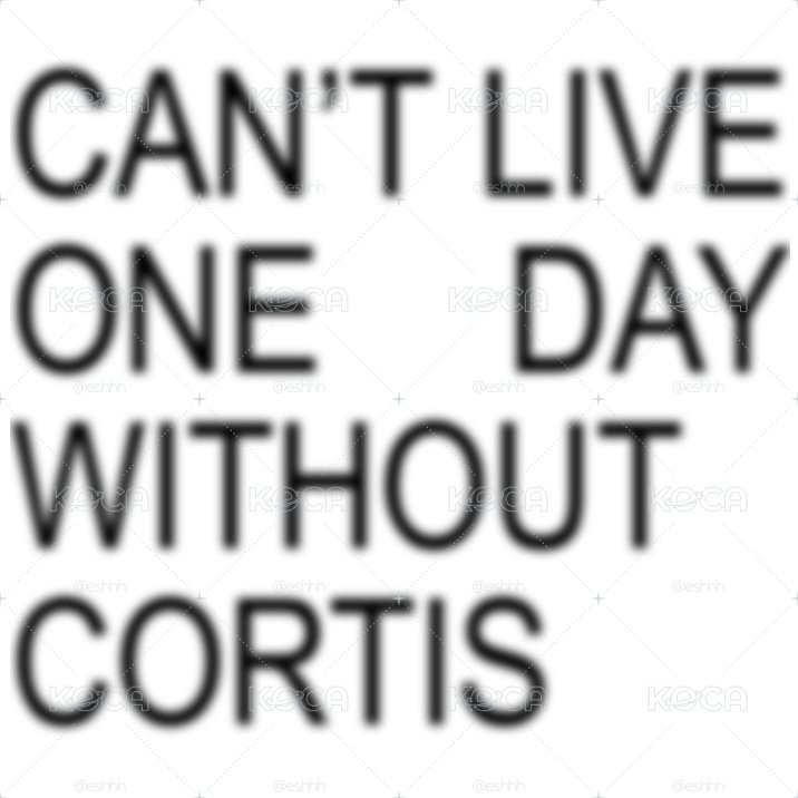 CORTIS 
