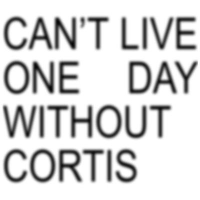 CORTIS 