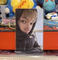 雪地馬丁