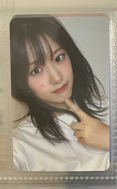 安卡
