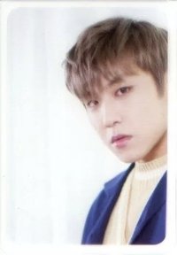 Dicon 雜誌卡 