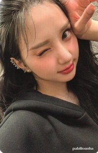 迷三 專輯卡 plve ver.