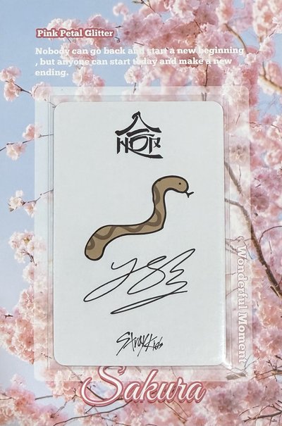 菲星河簽售/手繪卡背