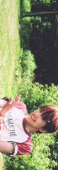 芝加哥 回憶錄 海報 