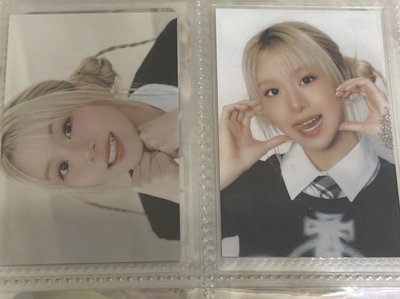 RTB暹羅貓彩