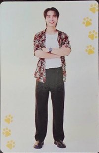 周邊卡 CAT FOR CASH COLLECTIBLE CARD SET