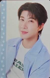 周邊卡 CAT FOR CASH COLLECTIBLE CARD SET
