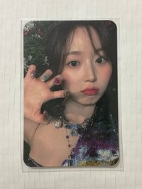 仲夏夜 jyp預售 貓抓