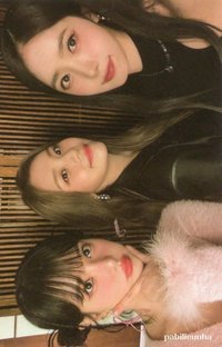 迷三 專輯卡 
