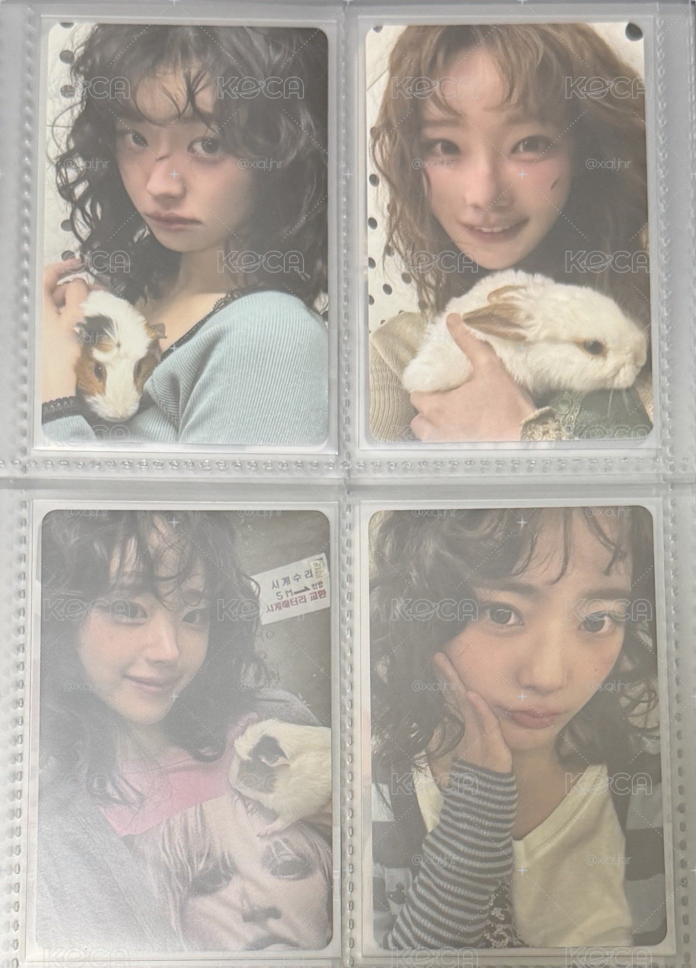 🐹
