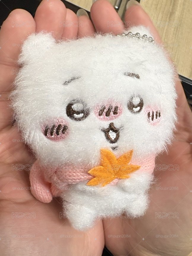 吉伊