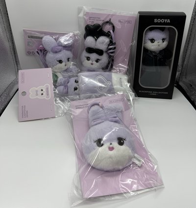 現貨 BLACKPINK DEADLINE JISOO週邊