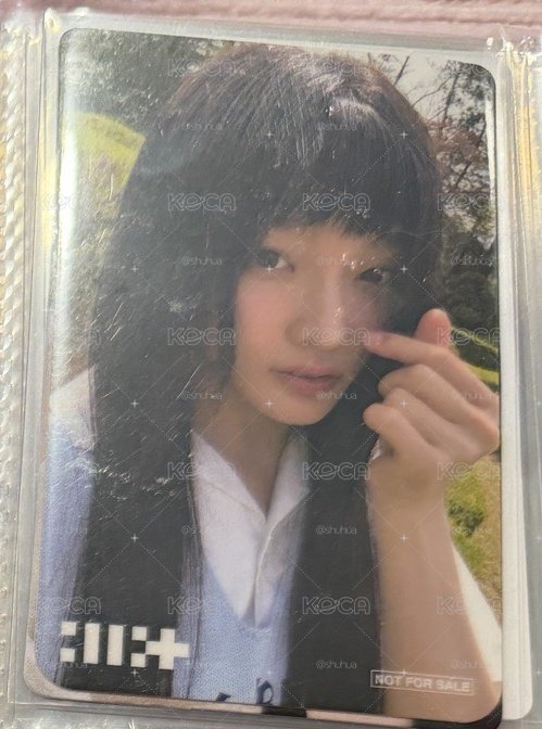 amazon 羽