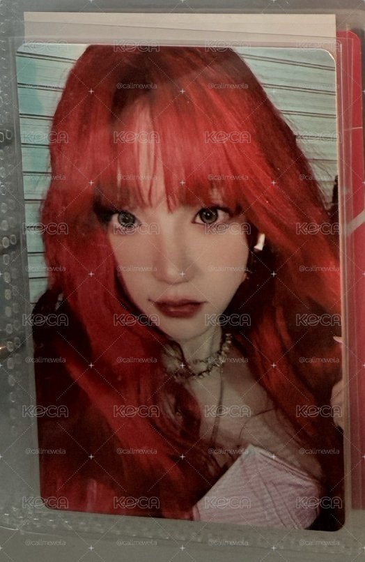 YUQ1 專輯卡 rabbit ver.