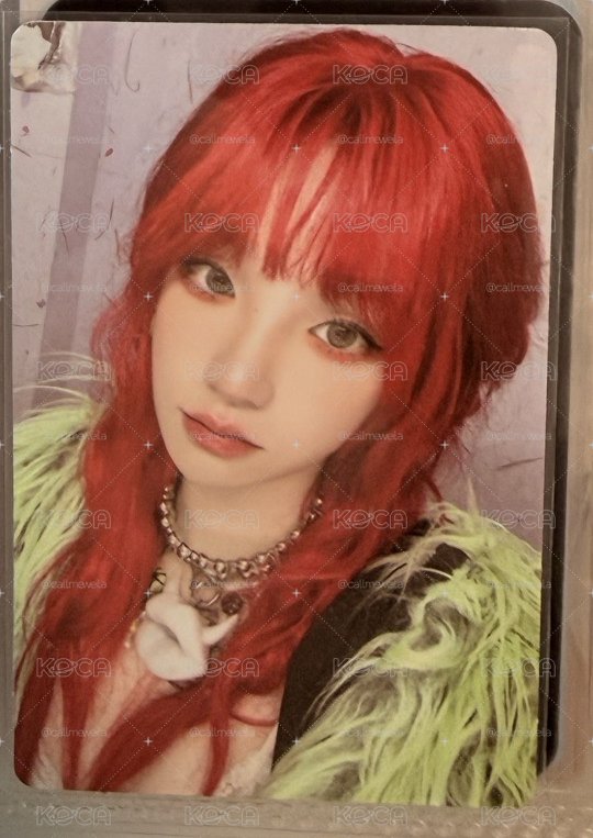 YUQ1 專輯卡 rabbit ver.