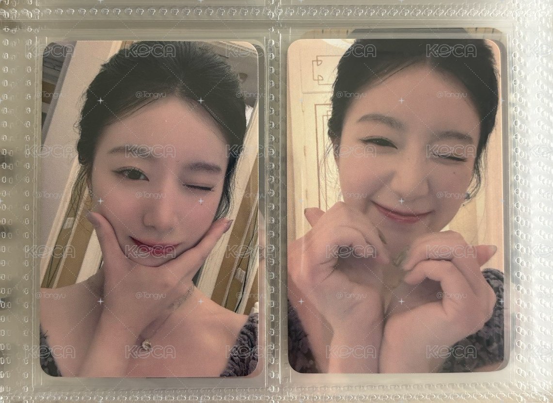 楠藝刷